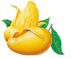 Thực phẩm hữu cơ hiện nay đã có sẵn rộng rãi