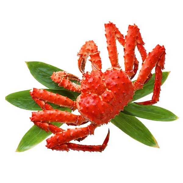 Cua tuyết